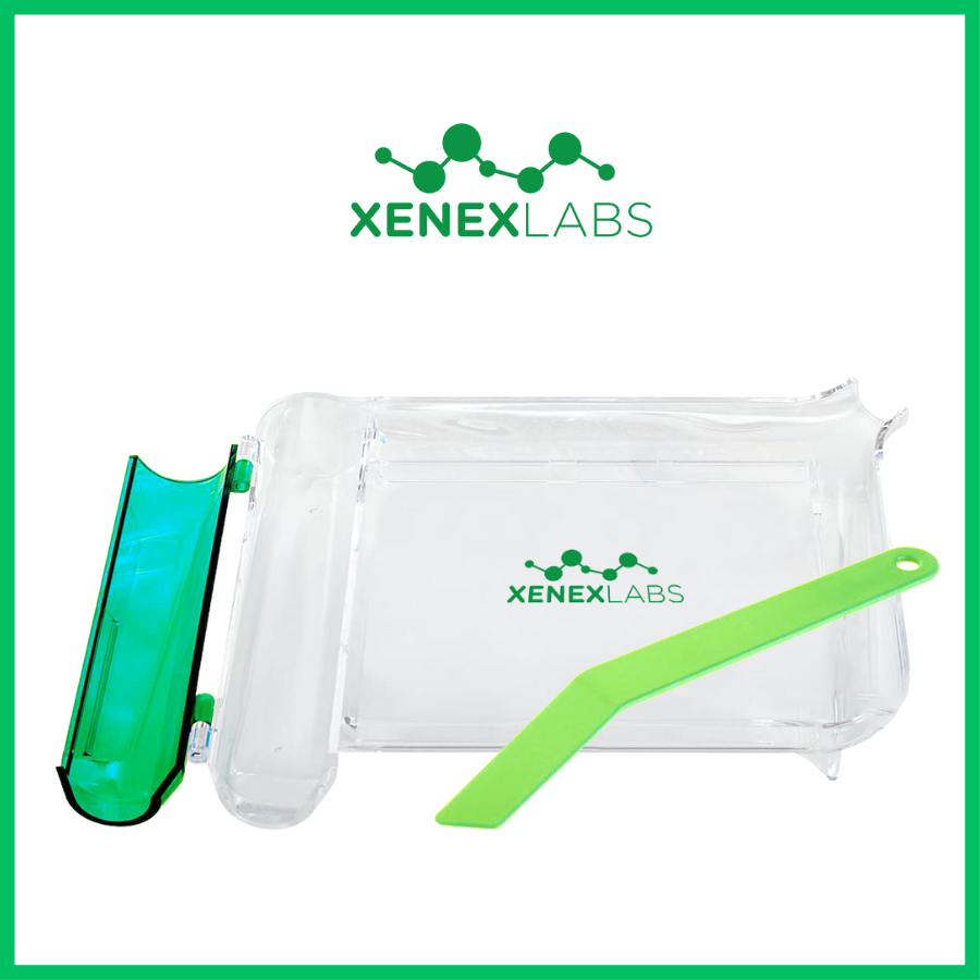 REWARD - XENEX LABS PILL COUNTER (VALUE $18)